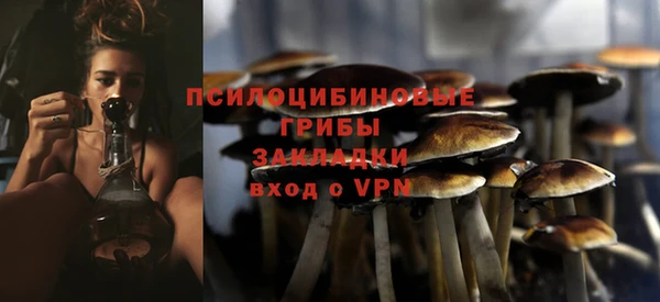 спайс Лабытнанги