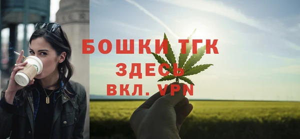 эйфоретик Ладушкин