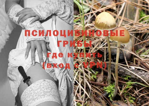 спайс Лабытнанги