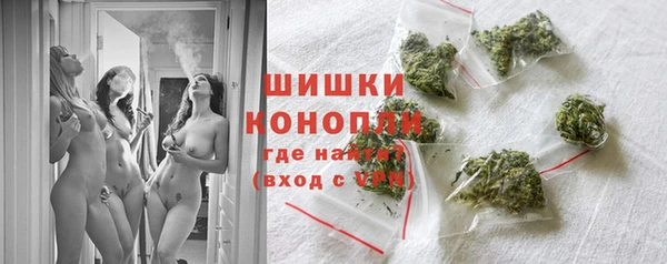 эйфоретик Ладушкин