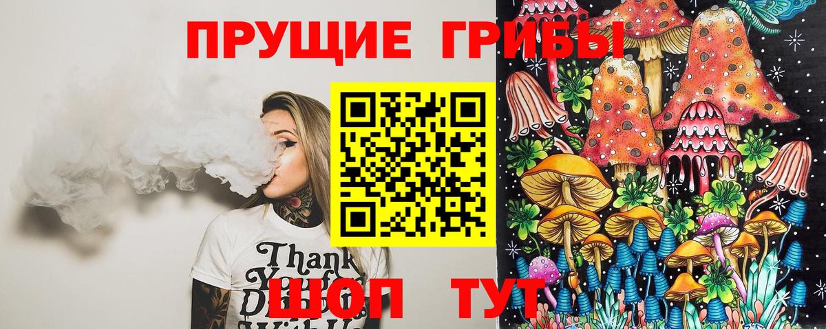 Псилоцибиновые грибы мицелий Моршанск