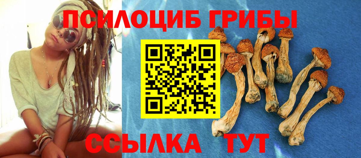 Меф Моршанск