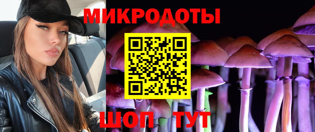 Псилоцибиновые грибы MAGIC MUSHROOMS  купить   Моршанск  Псилоцибиновые грибы Psilocybe  Вход с VPN 